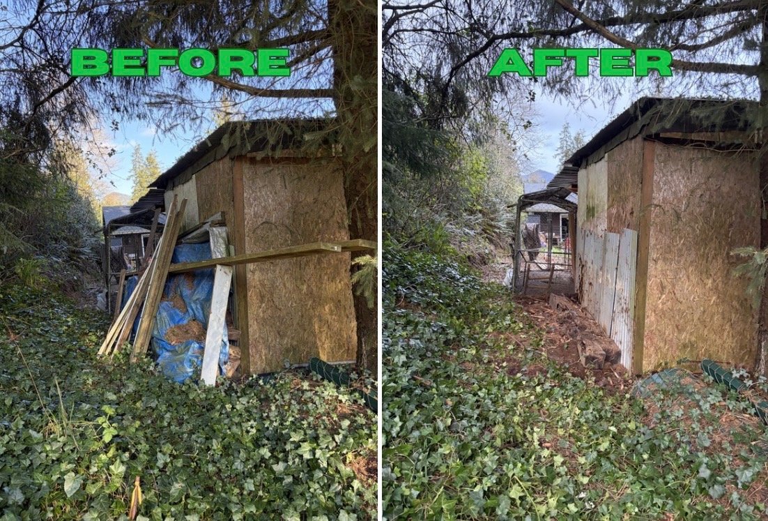Before and after: debris pile cleared from beside a shed